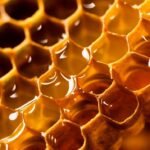honey, honeycomb, bee, sweet, hexagon, nature, beeswax, beehive, hive, beekeeping, close up, macro