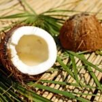 coconut, nut, shell, brown, pulp, exotic, coconut, coconut, coconut, coconut, coconut
